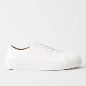 Sampe Sneakers