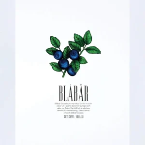 Blåbär Poster